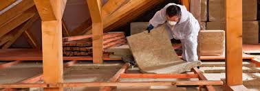 Best Attic Insulation Installation  in Constantine, MI