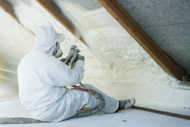 Best Wall Insulation Installation  in Constantine, MI